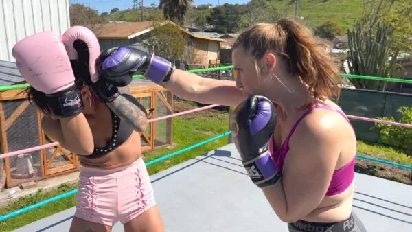 Boxing Slugfest