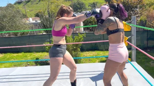 Boxing Slugfest