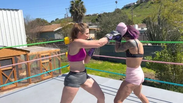 Boxing Slugfest
