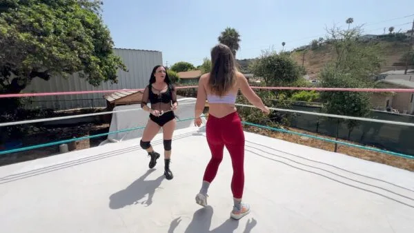Cops and Jobbers