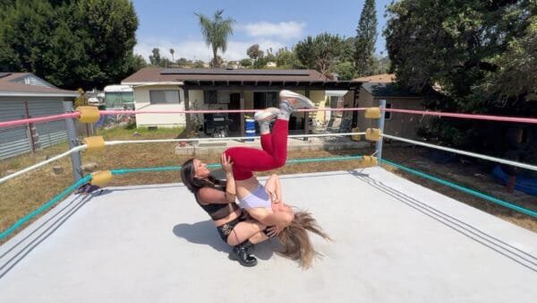 Cops and Jobbers