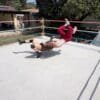 Cops and Jobbers