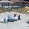 Gym Class Piledrivers