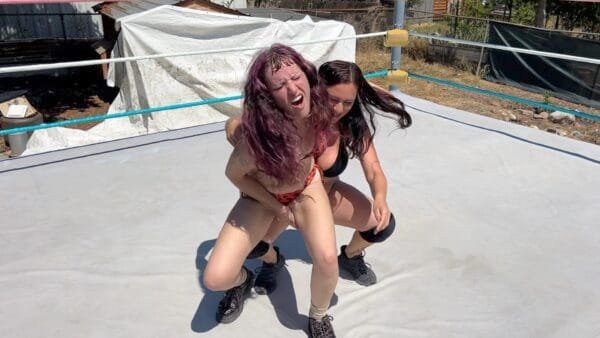 Low Blow and Stinkface Domination