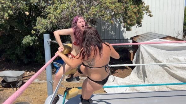Low Blow and Stinkface Domination