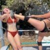 Low Blow and Stinkface Domination