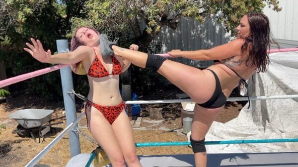 Low Blow and Stinkface Domination