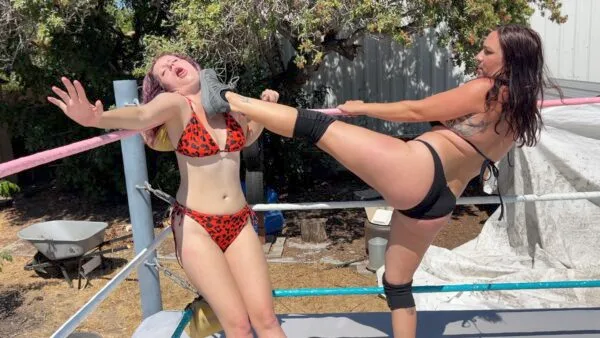 Low Blow and Stinkface Domination